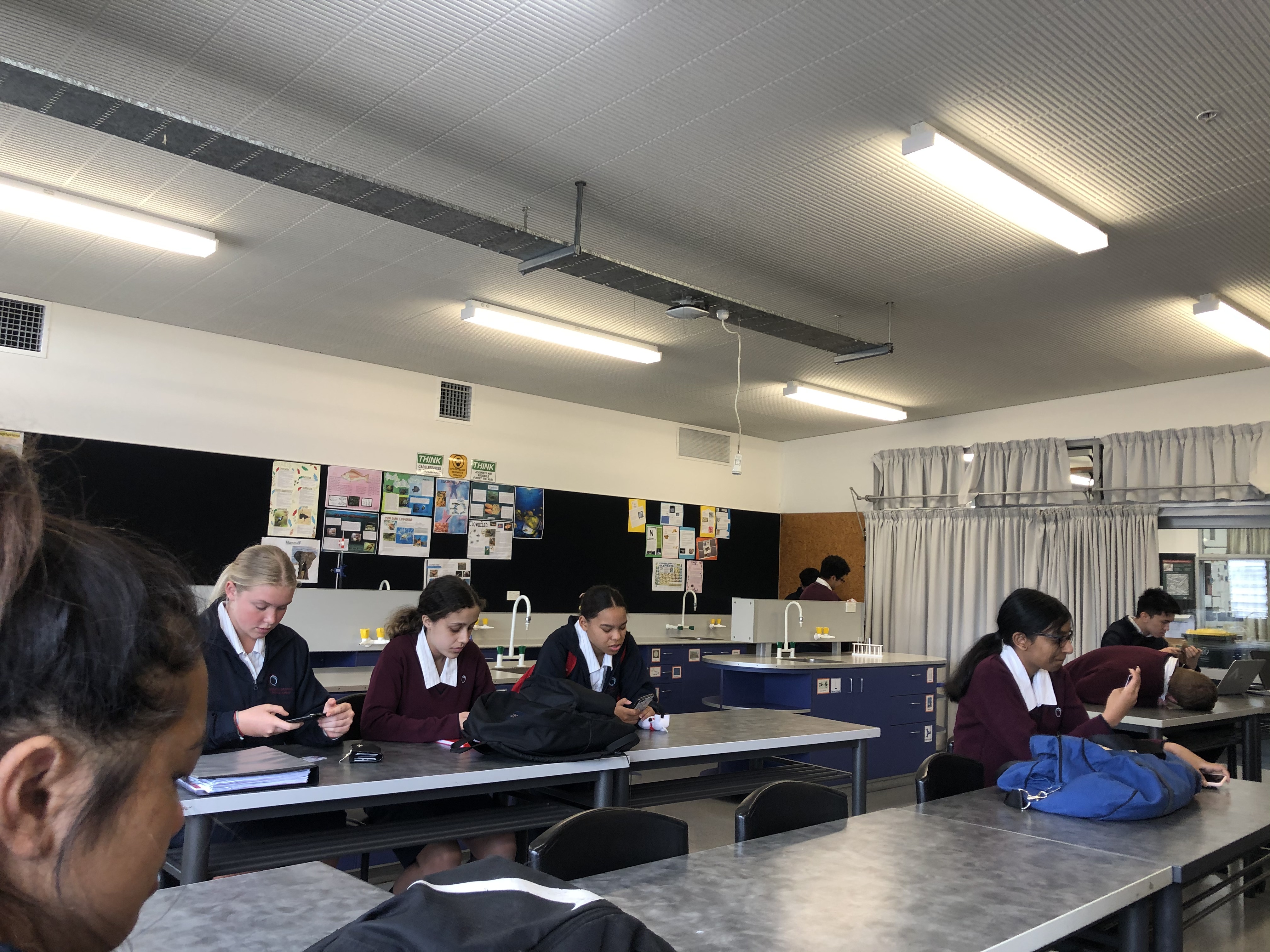 du hoc New Zealand anh 3