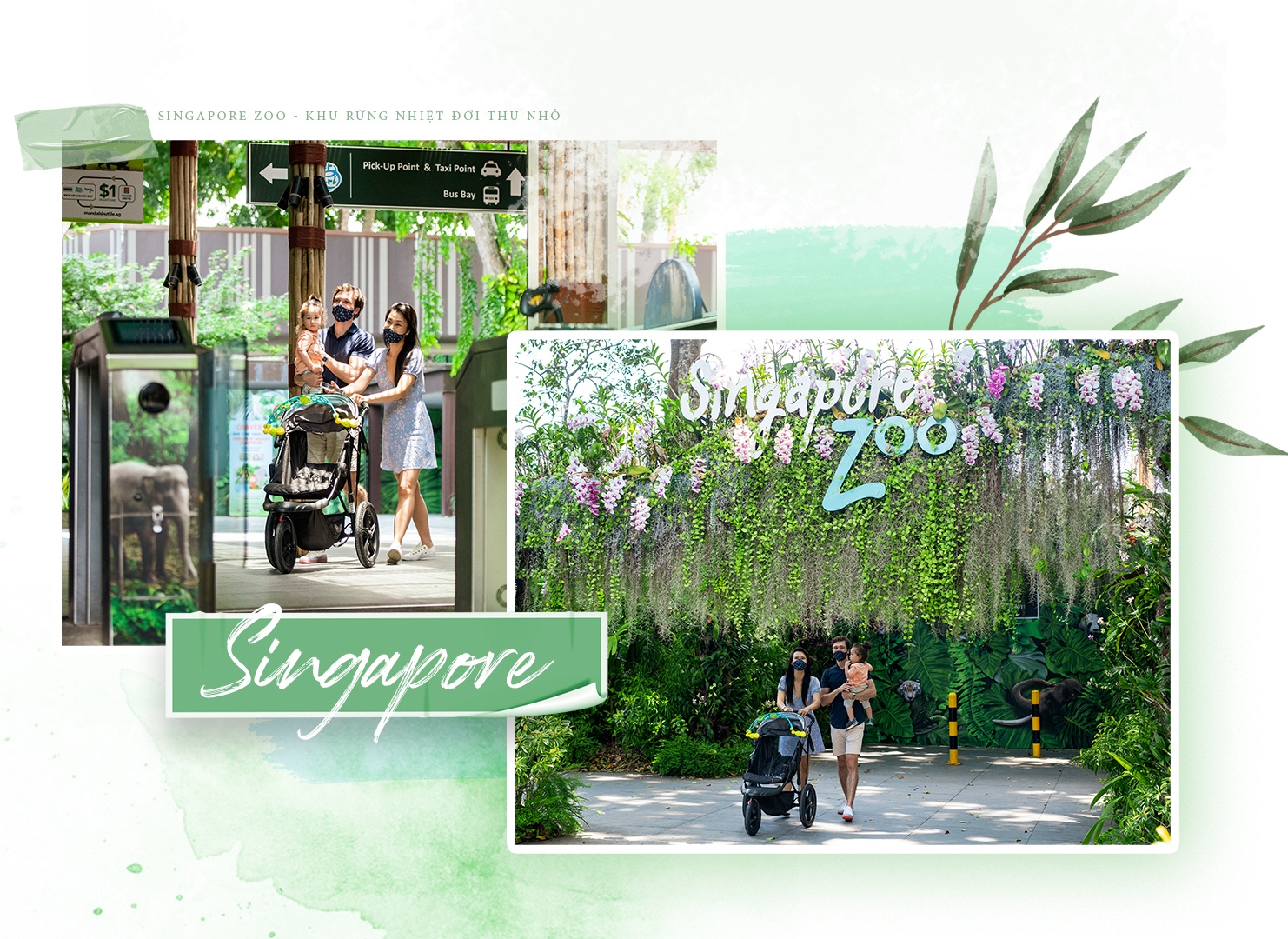 STB ảnh 1 STB anh 1