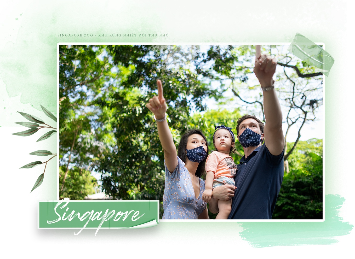STB ảnh 2 STB anh 2