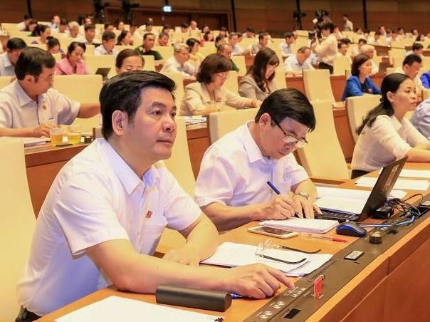 Dai bieu Quoc hoi duoc trang bi iPad de tra cuu tai lieu hinh anh