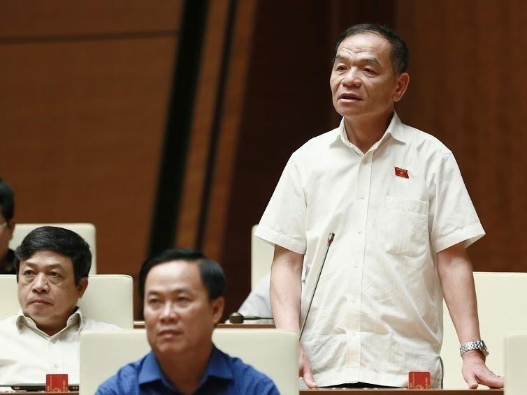 Dai bieu neu thuc te giam sat qua nghe bao cao thay vi di thuc te hinh anh