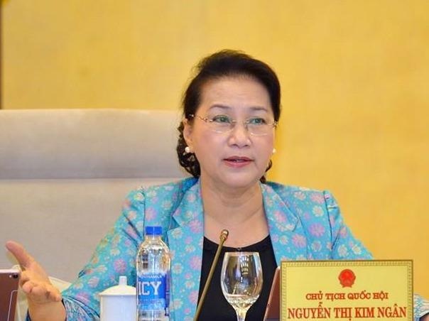 Tranh luan viec giam pho chu tich HDND hinh anh