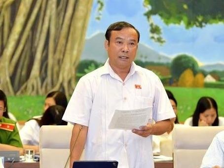 Dai bieu Quoc hoi: 'Co noi con em lanh dao ngoi het nua bep an' hinh anh