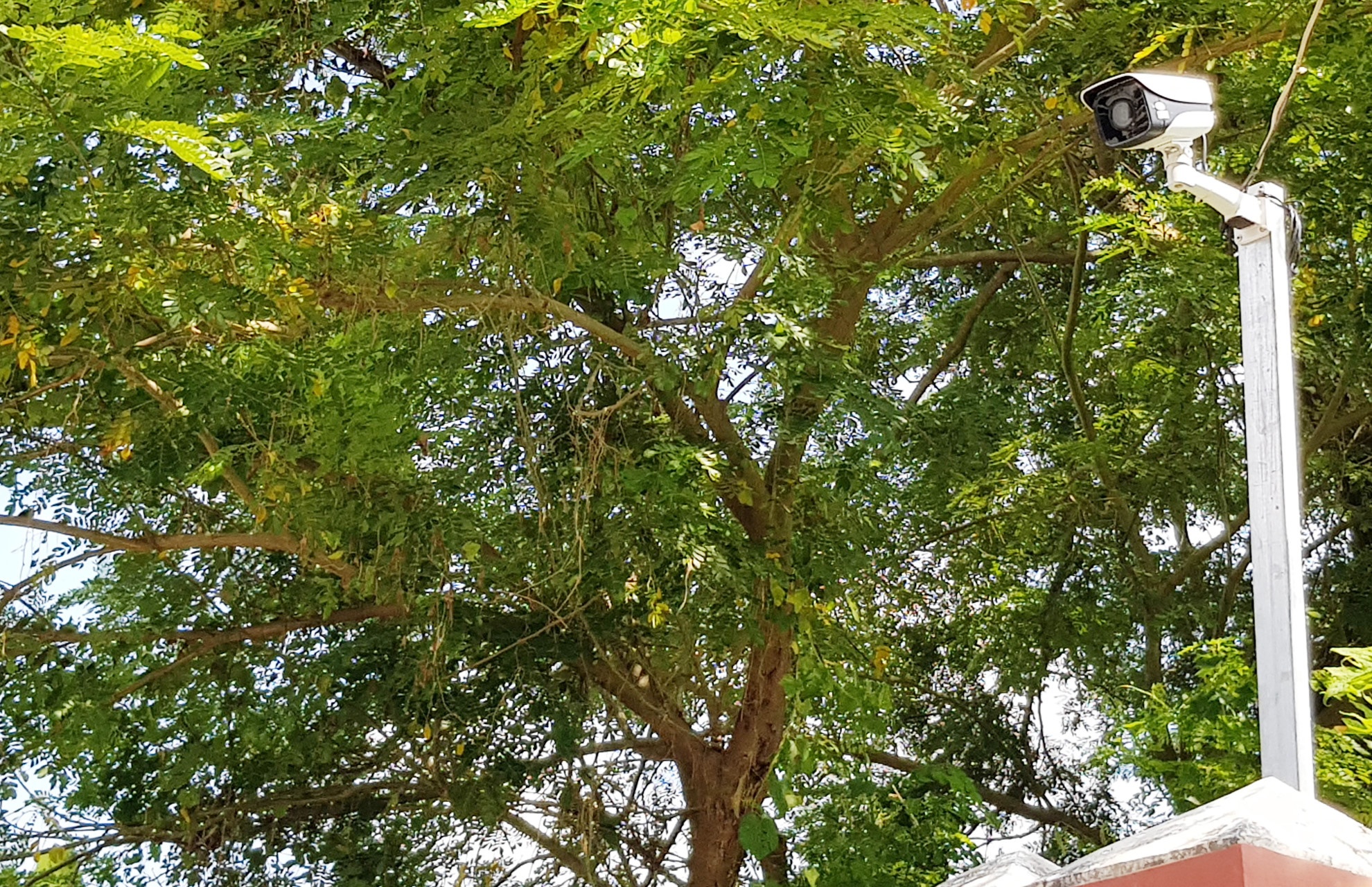 Soc Trang chi gan 1 ty lap camera nha rieng lanh dao anh 2