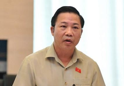 Dai bieu Luu Binh Nhuong: 'Nhieu can bo nhan nha qua' hinh anh