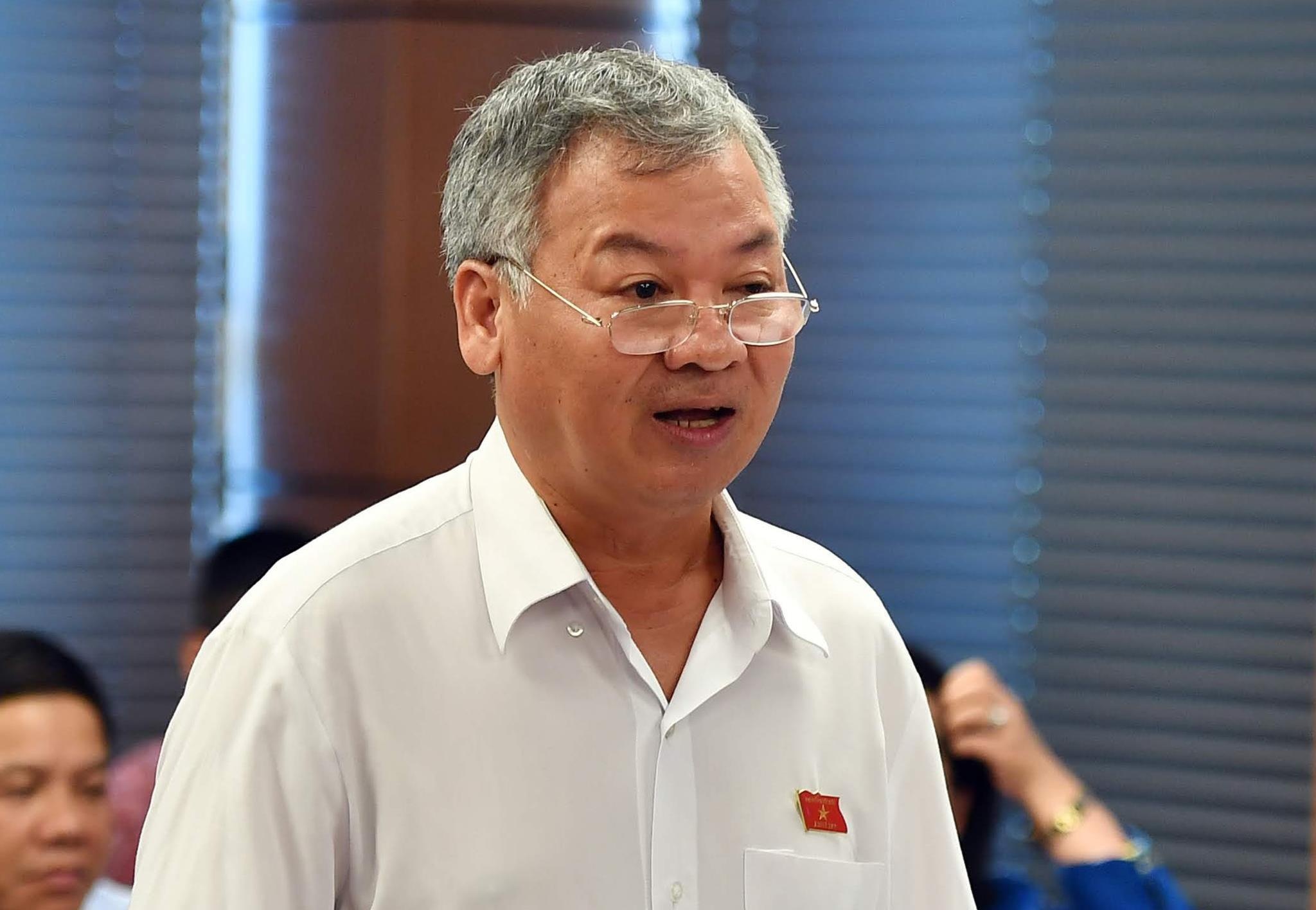 Dai bieu Quoc hoi bi ky luat tai sao khong mien nhiem? hinh anh