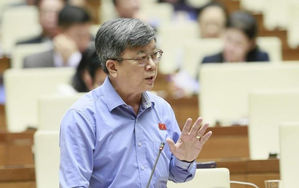 Dai bieu khong muon mien thi thuc cho nguoi nuoc ngoai vao Viet Nam hinh anh