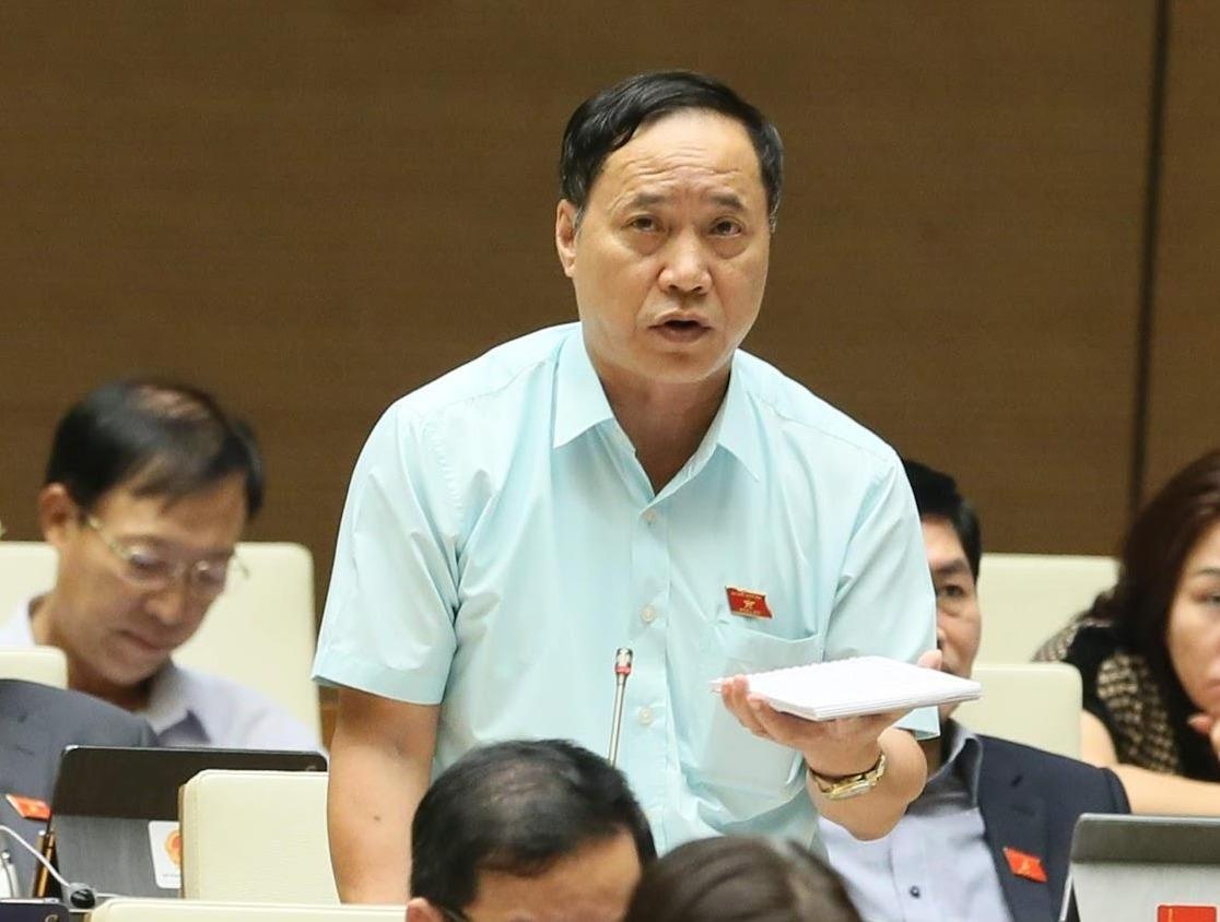 Co lanh dao bo gay suc ep voi dai bieu Quoc hoi vi phat bieu trai y hinh anh