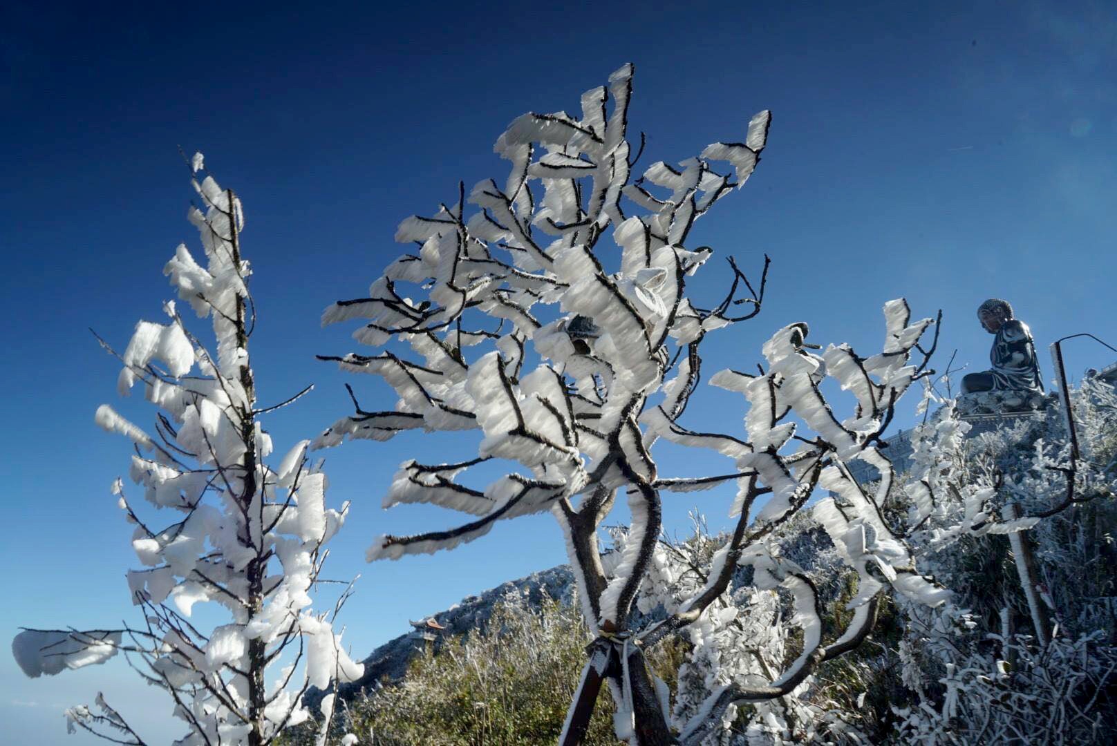 băng giá xuất hiện ở Fansipan ảnh 10 bang gia xuat hien o Fansipan anh 10