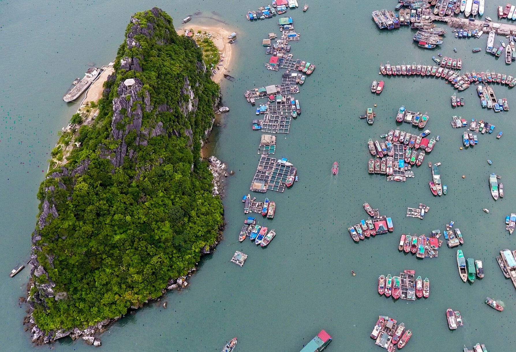 Thu tuong: Tiep tuc nghien cuu mo hinh dac khu kinh te hinh anh