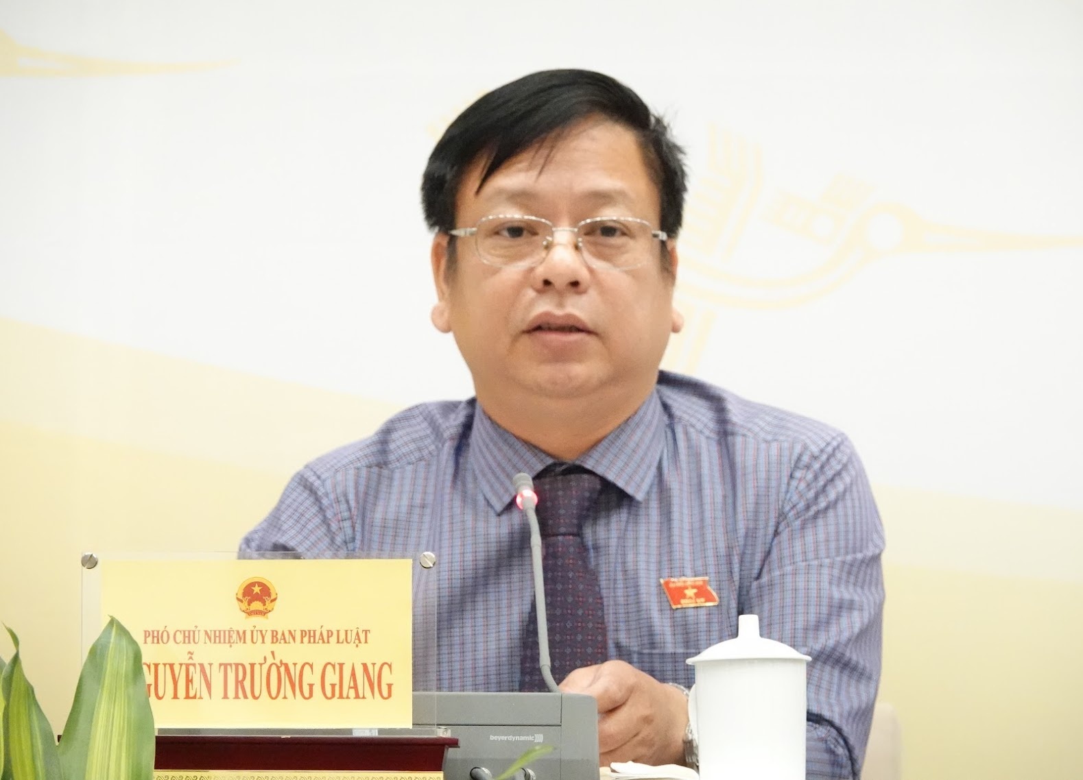 Uy ban Thuong vu Quoc hoi phe chuan hang loat nhan su hinh anh