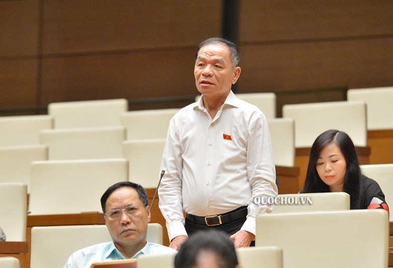 dai bieu Quoc hoi de xuat xay dung Luat moi anh 1