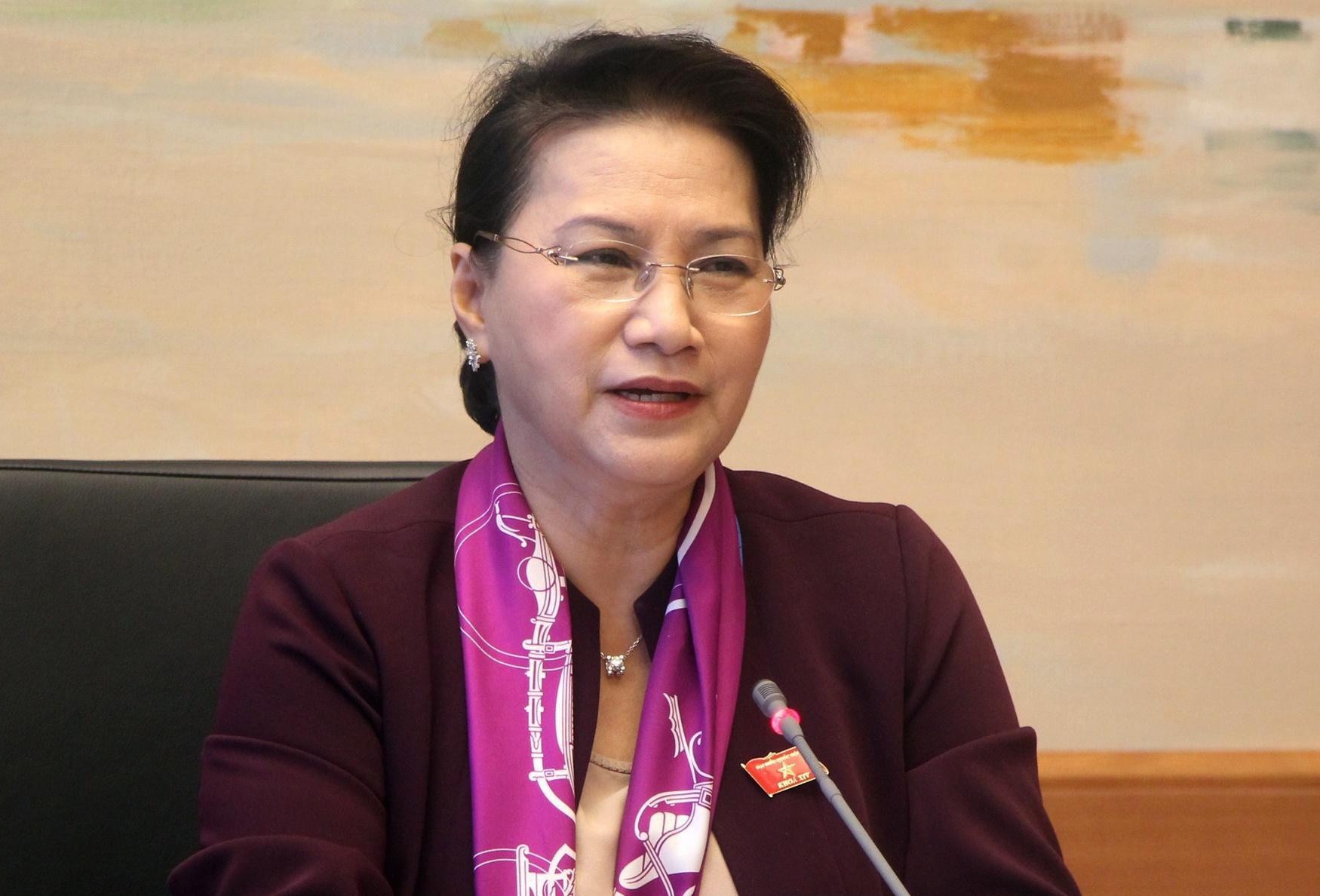 Ba Nguyen Thi Kim Ngan duoc bau lam Chu tich Hoi dong bau cu quoc gia hinh anh