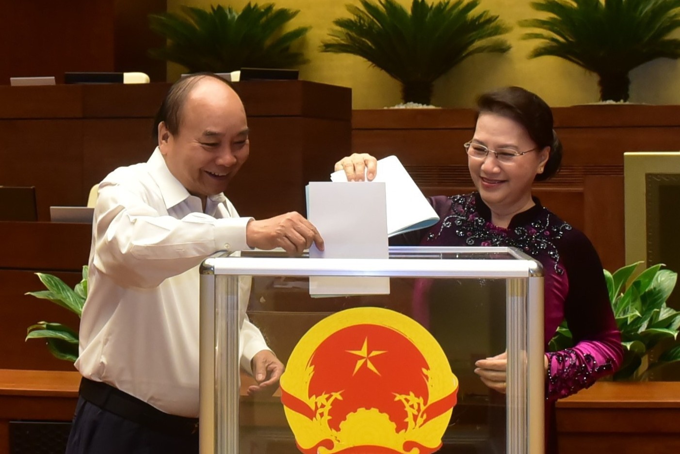 21 thanh vien Hoi dong bau cu quoc gia ra mat Quoc hoi hinh anh