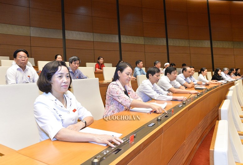 dan duoc bau truc tiep Chu tich Da Nang anh 1