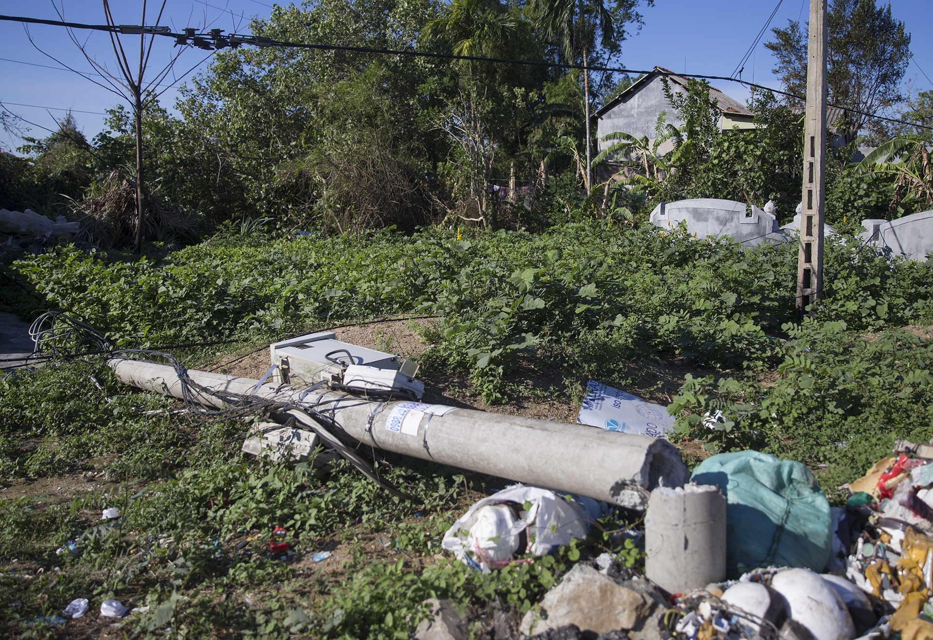 thanh tra cot dien do gay sau bao anh 2