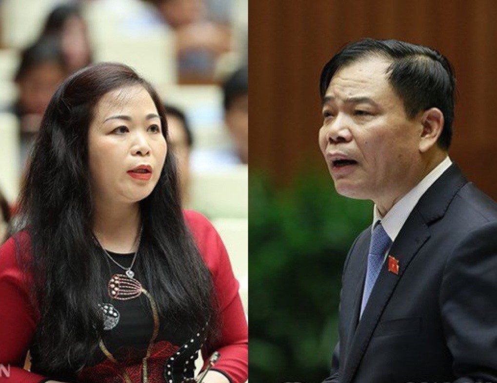 ‘Se trung thuc hon neu bo truong noi mat rung do quan ly bat cap’ hinh anh