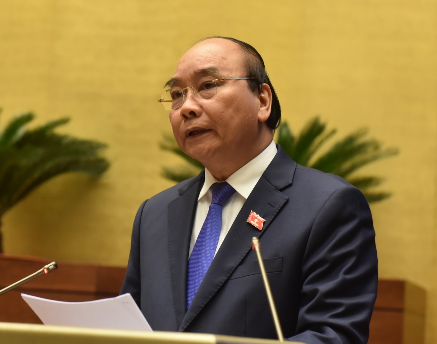 Thu tuong khen nhieu chat van cua dai bieu Quoc hoi la 'tuyet voi' hinh anh