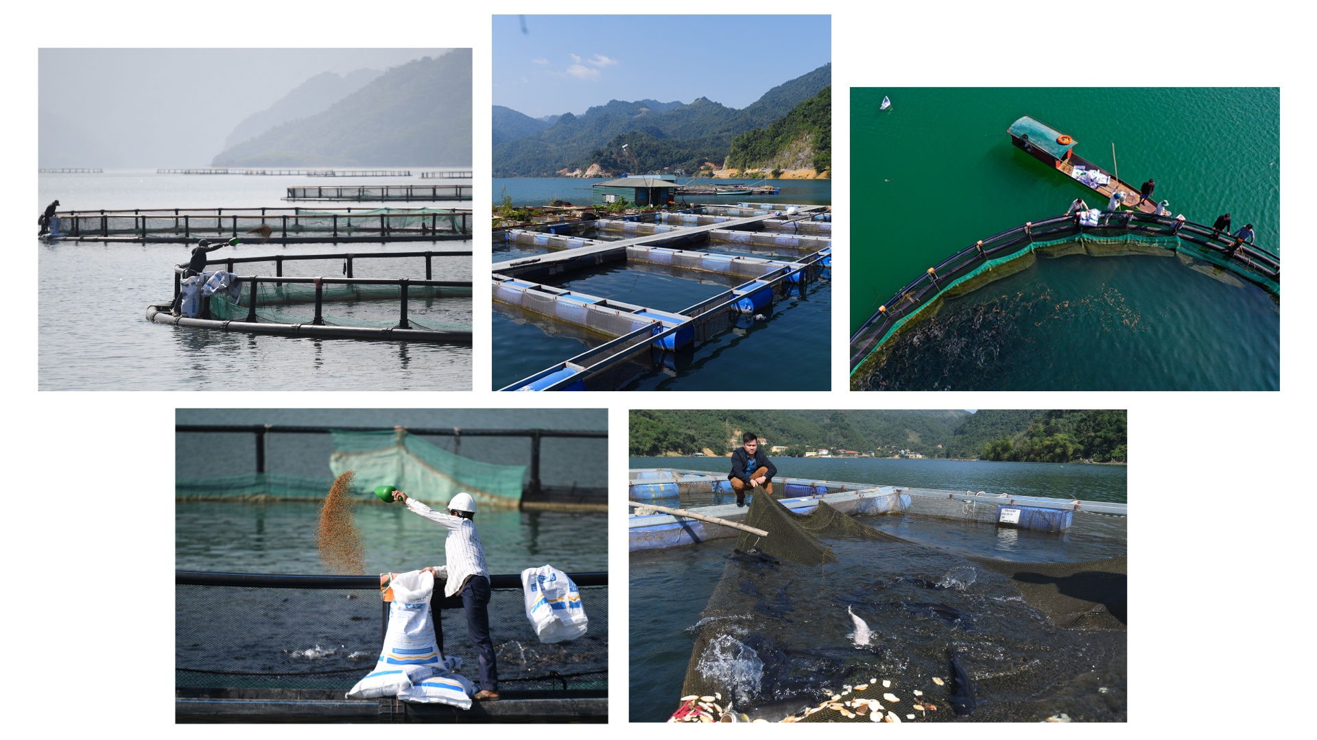 Bi thu tinh uy khong phai nguoi dia phuong anh 5