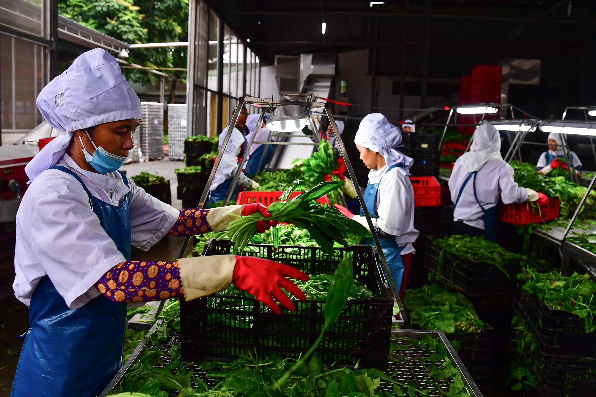 nhung chinh sach moi cho nguoi lao dong sap co hieu luc anh 3