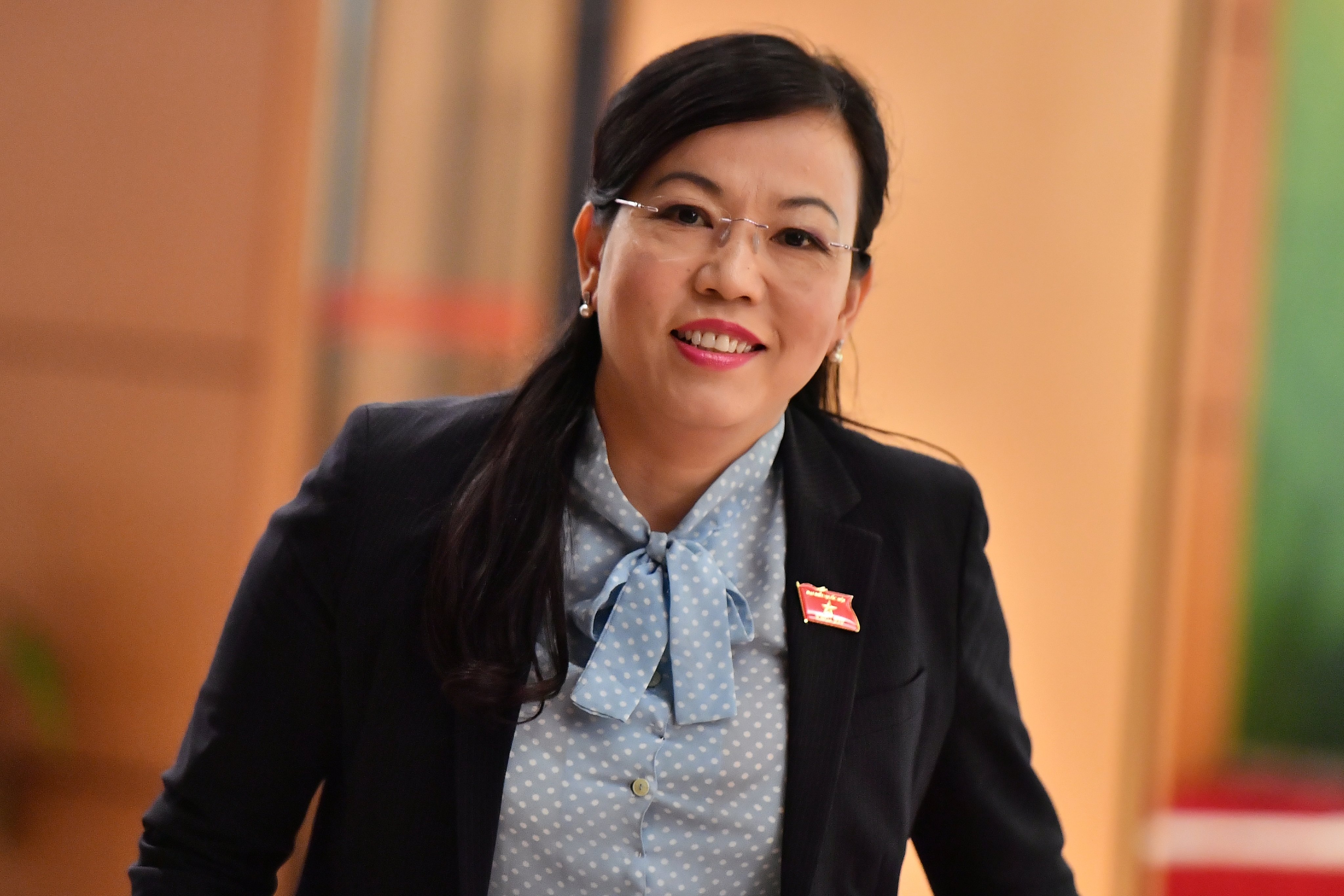 loi hua neu trung cu dai bieu Quoc hoi cua cac bi thu tinh uy anh 2