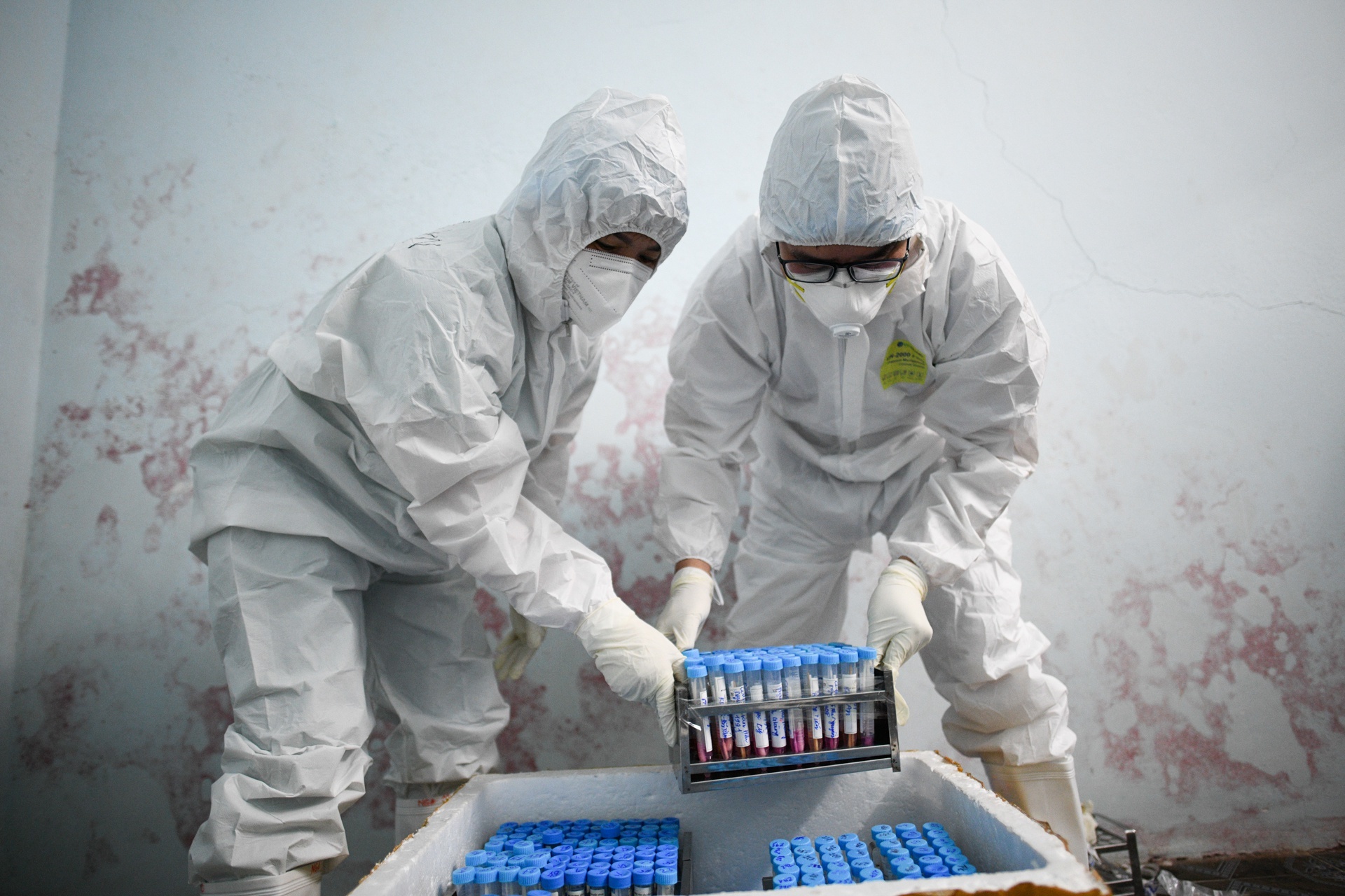 Hải Dương trực 24/24 dịp Tết để chống dịch Covid-19 ảnh 3 Hai Duong truc 24/24 dip Tet de chong dich Covid-19 anh 3