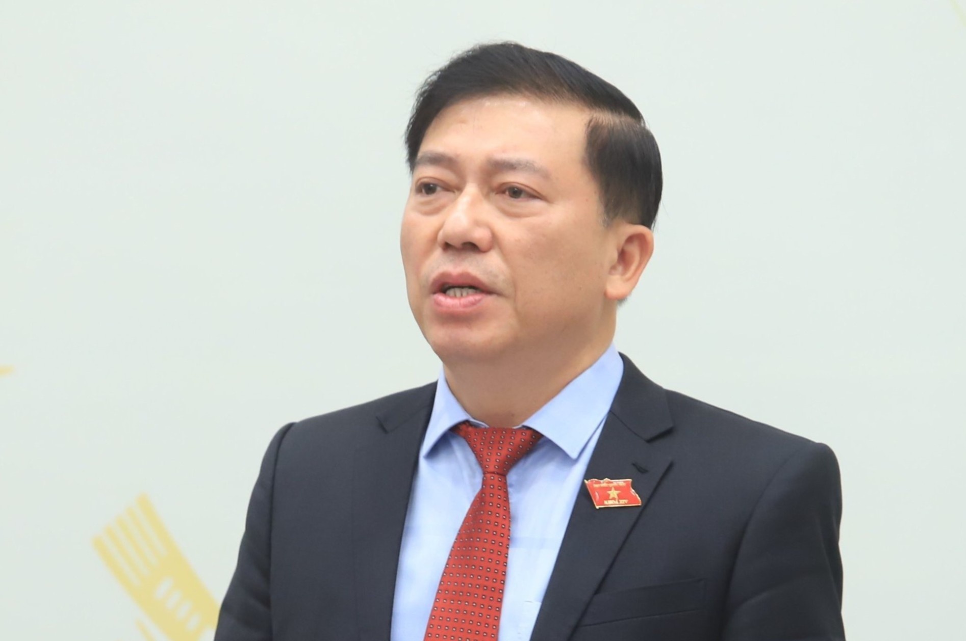 Kien nghi xem xet mot so truong hop dac biet tai cu dai bieu Quoc hoi hinh anh