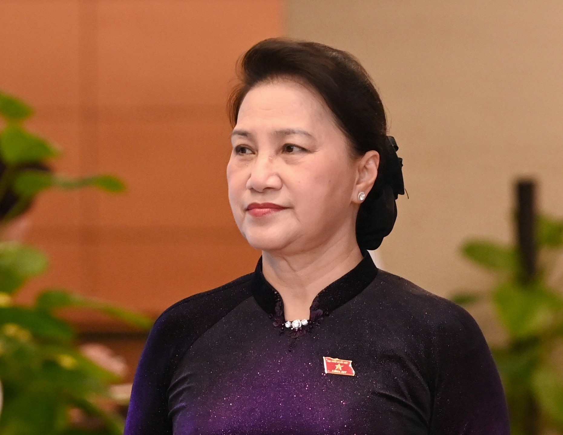 Mien nhiem Chu tich Quoc hoi Nguyen Thi Kim Ngan hinh anh