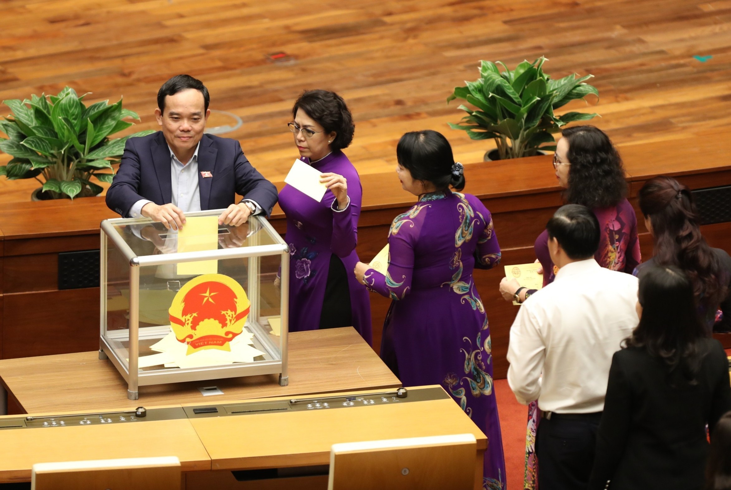 Mien nhiem Tong Kiem toan va nhieu nhan su cap cao cua Quoc hoi hinh anh