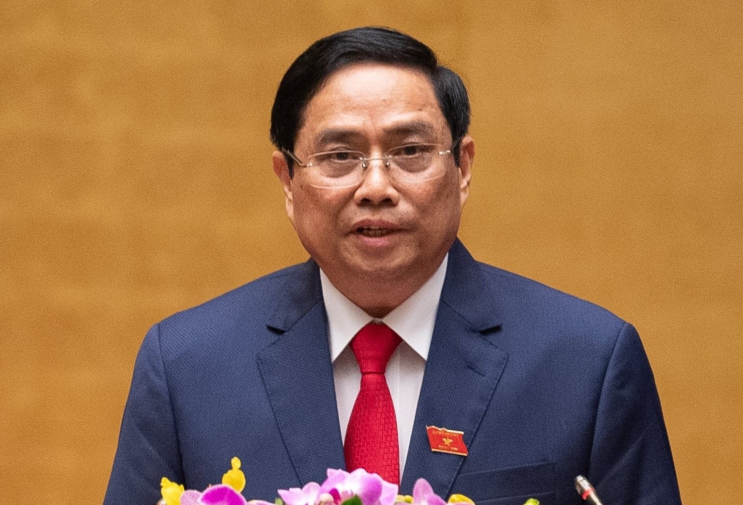 Thu tuong Pham Minh Chinh trinh mien nhiem 13 thanh vien Chinh phu hinh anh