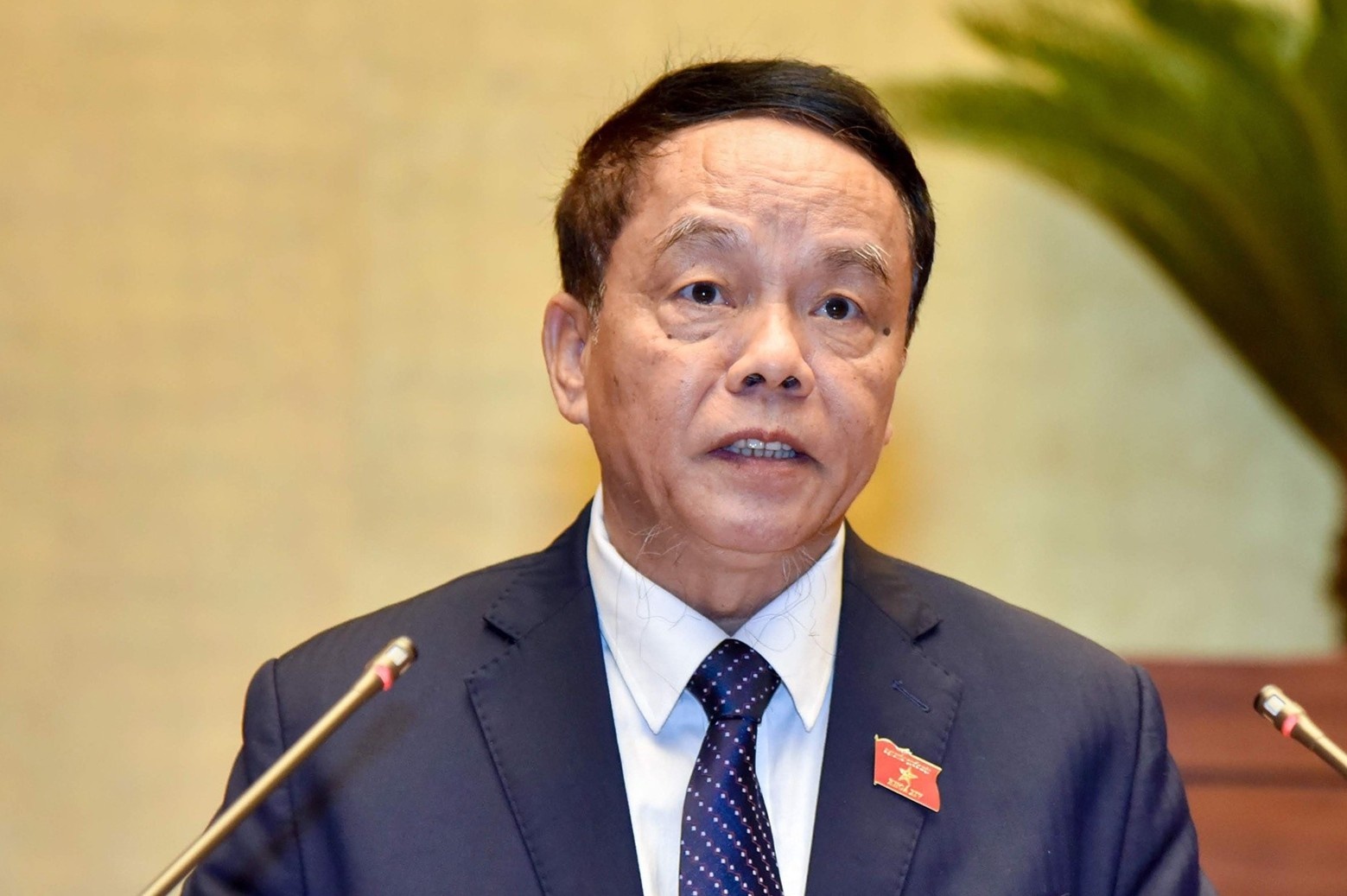 Tuong Vo Trong Viet duoc rut khoi danh sach ung cu dai bieu Quoc hoi hinh anh