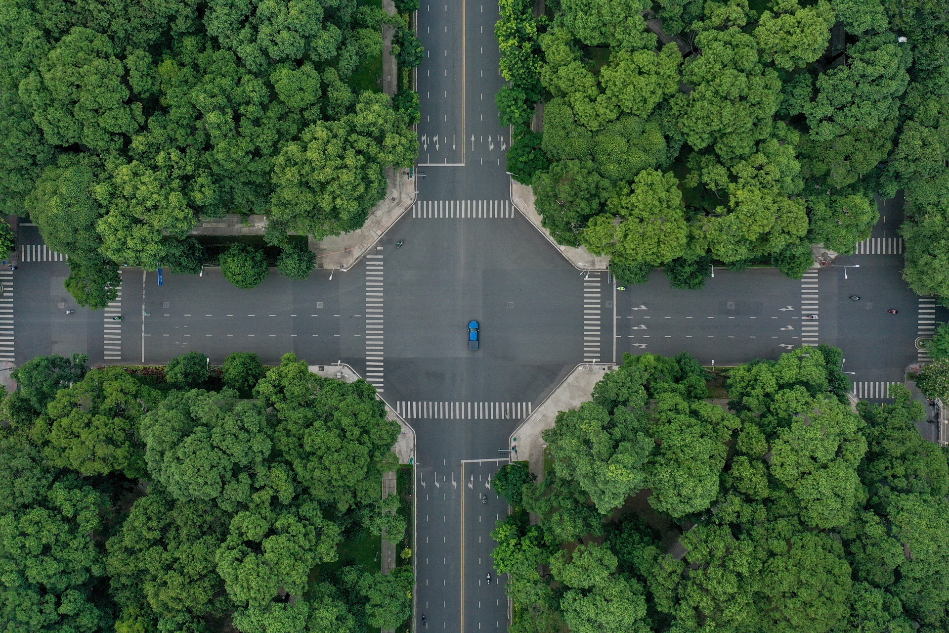 'Ai o dau o do" trong 2 tuan toi anh 1