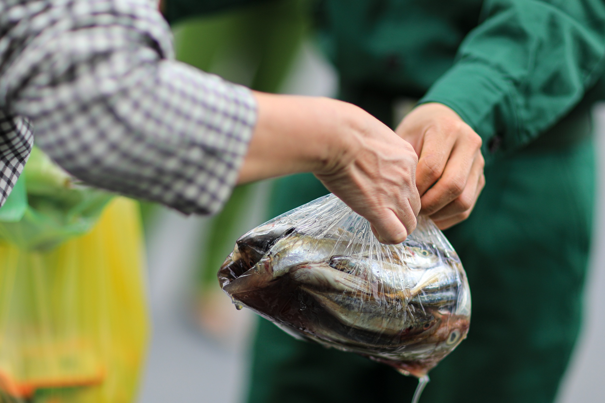 huy động quân đội giúp TP.HCM chống dịch ảnh 6 huy dong quan doi giup TP.HCM chong dich anh 6