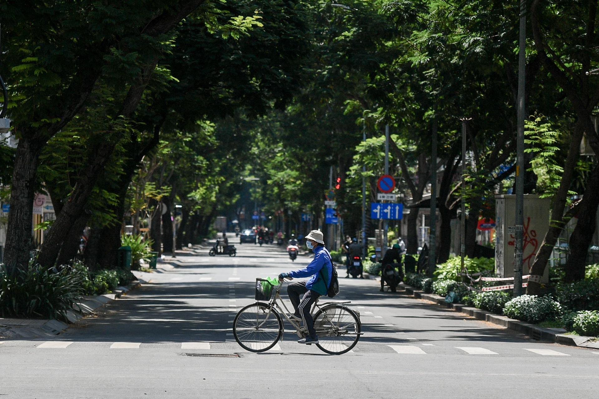 GS Hoang Van Cuong: Mai be bo ngan dich la dieu khong tuong hinh anh