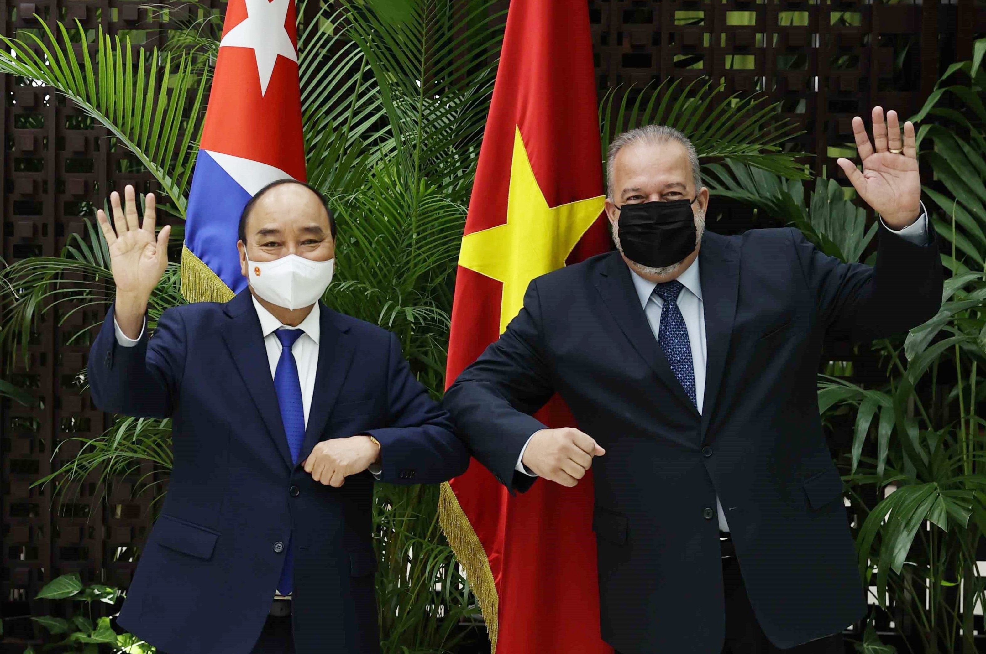 Chu tich nuoc mong muon hop tac san xuat vaccine voi Cuba hinh anh