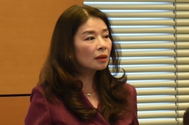 Dai bieu Quoc hoi: 'Nghe si can duc truoc khi can tai' hinh anh