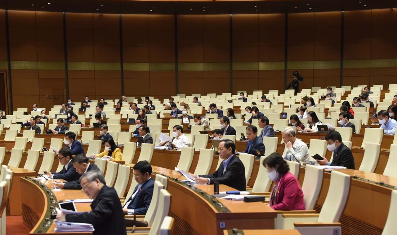 2 dai bieu doan TP.HCM mac Covid-19 anh 1