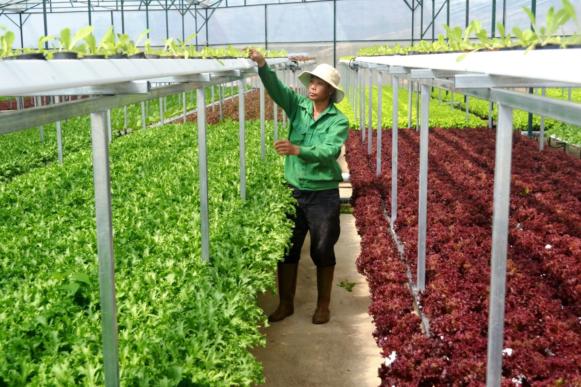 Dot pha cong nghe de huong den nong thon hien dai, nong dan van minh hinh anh