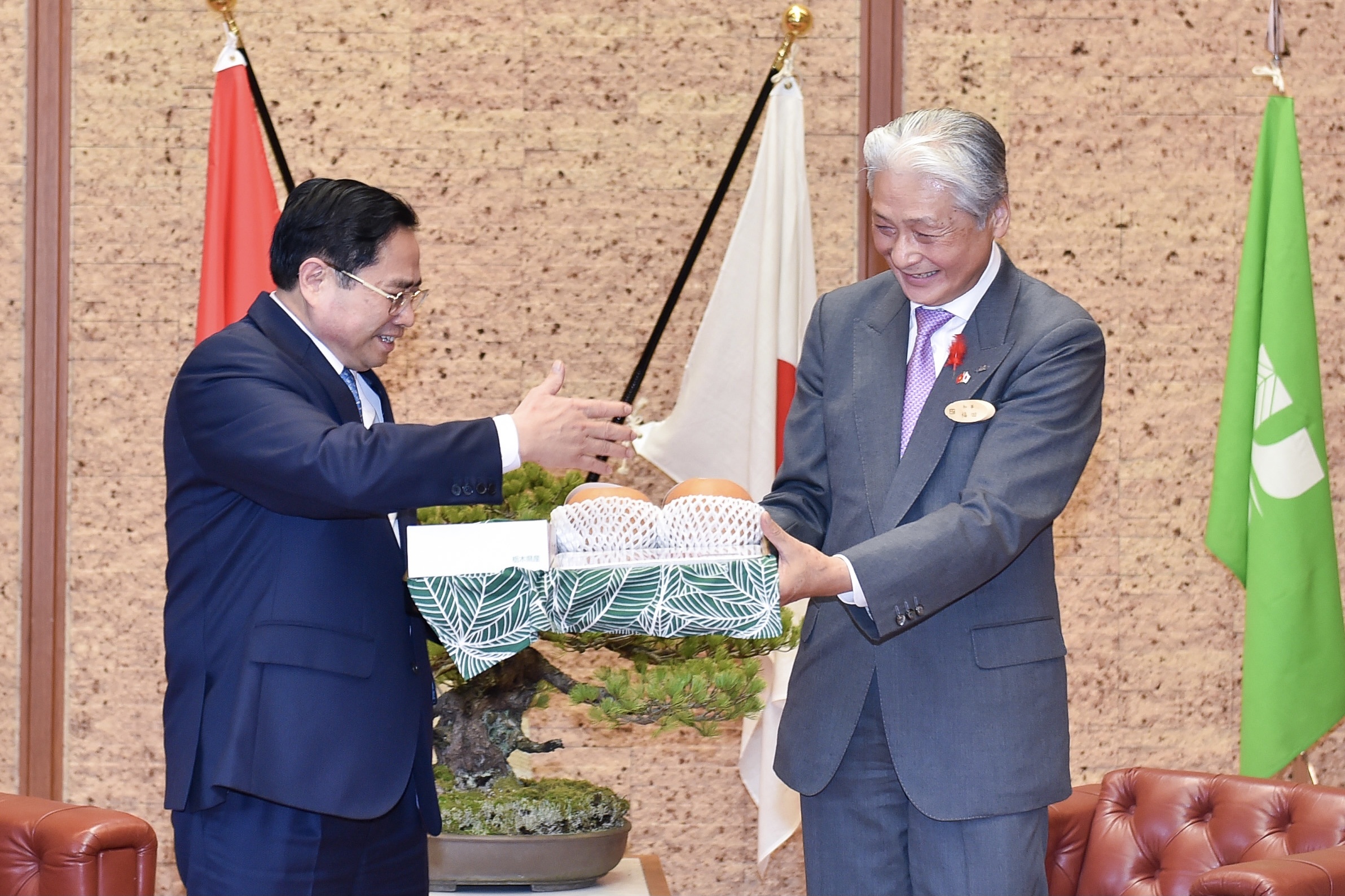 Thu tuong Pham Minh Chinh tham tinh Tochigi anh 10