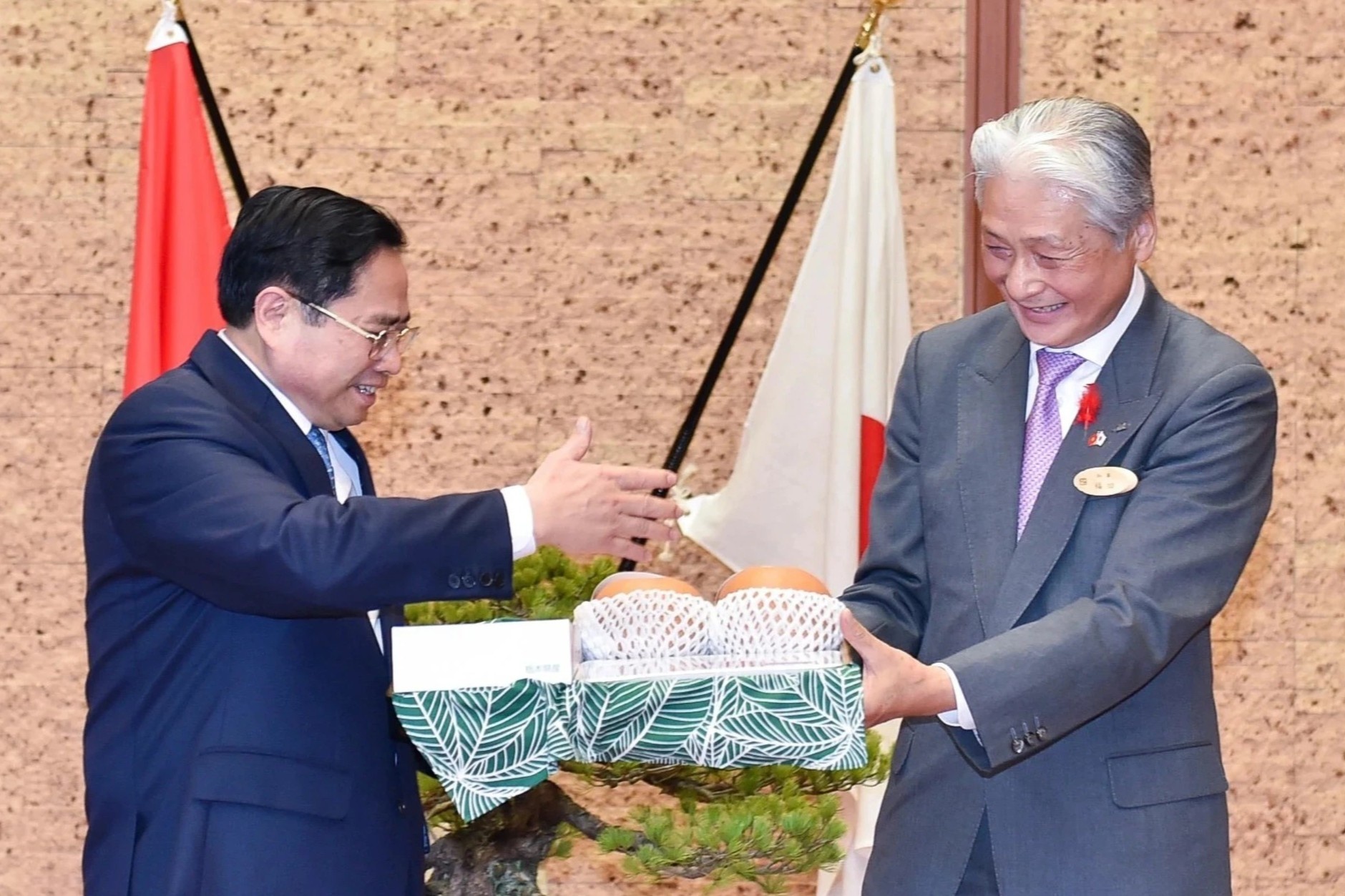 Thu tuong mong dac san tai Tochigi som xuat hien o Viet Nam hinh anh