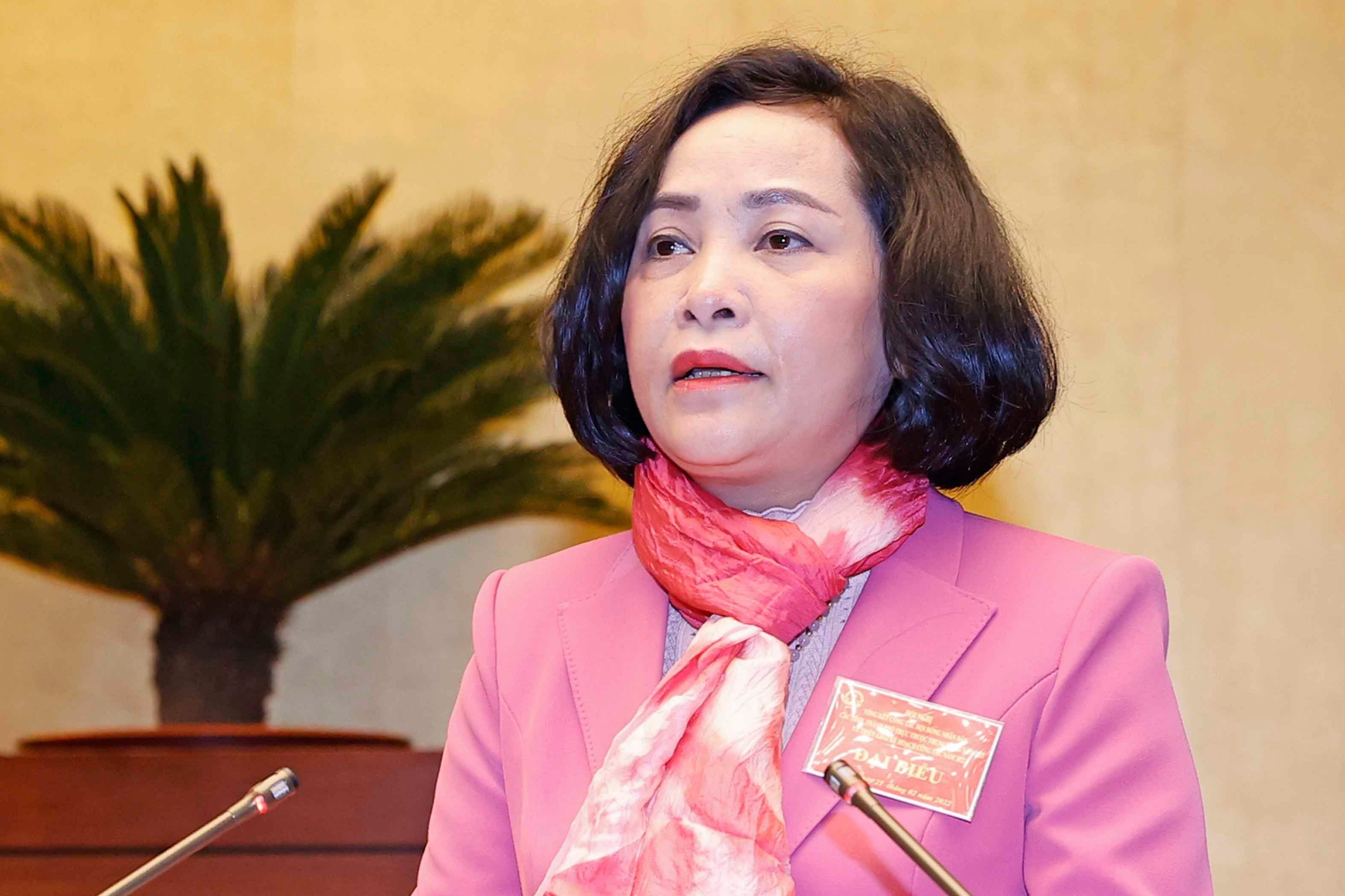 22 bi thu tinh uy dong thoi la chu tich HDND hinh anh