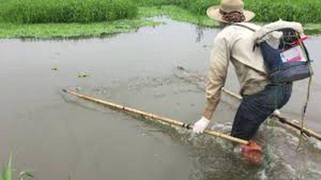 Dung kich dien bat ca, bi dien giat tu vong hinh anh