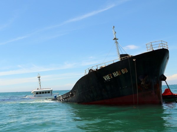 Chim tau tren vinh Phan Rang - Ninh Thuan hinh anh