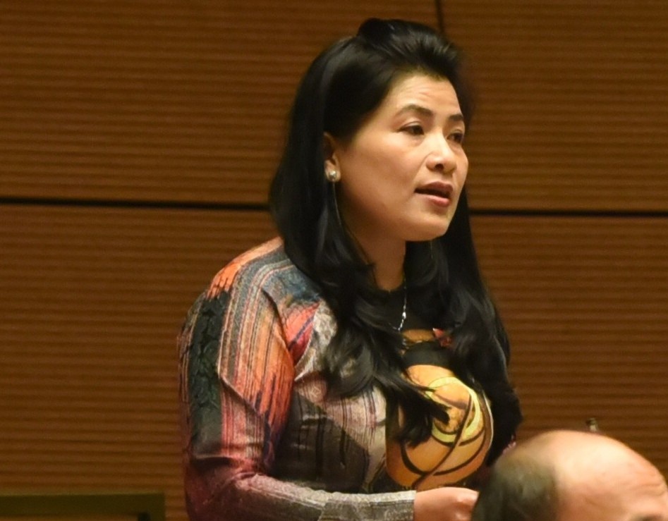 De nghi xoa quy hoach dien hat nhan anh 1