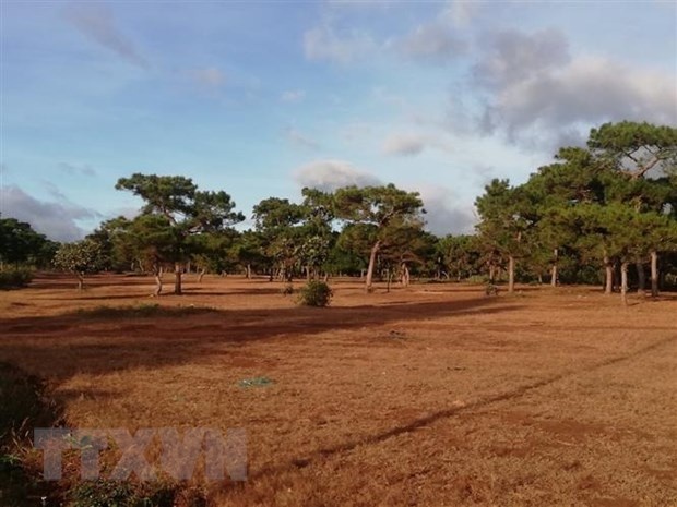 Loat lanh dao Gia Lai bao cao khong trung thuc du an san golf Dak Doa anh 1