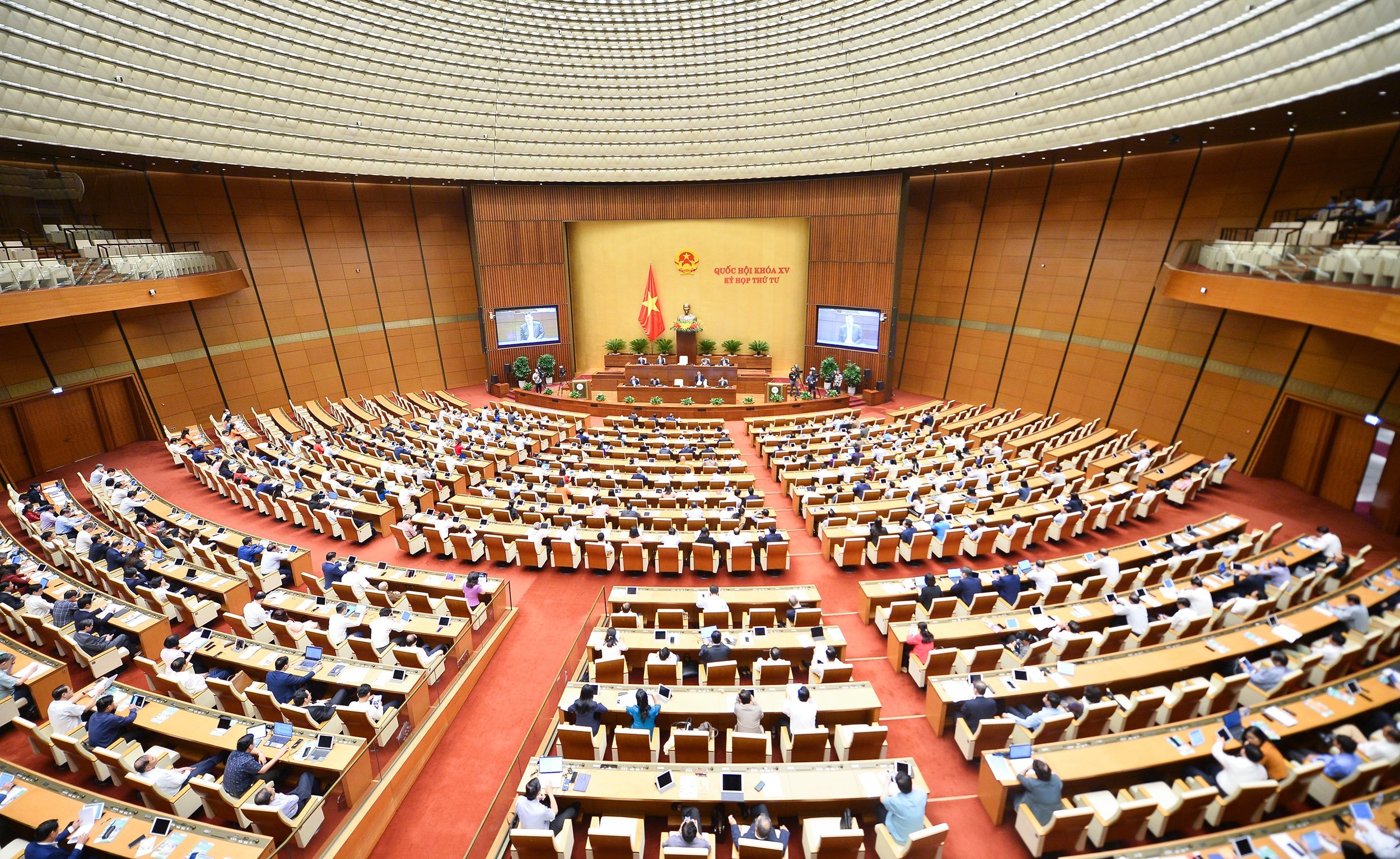 Quoc hoi ban viec bo sung noi sinh vao mau ho chieu moi hinh anh