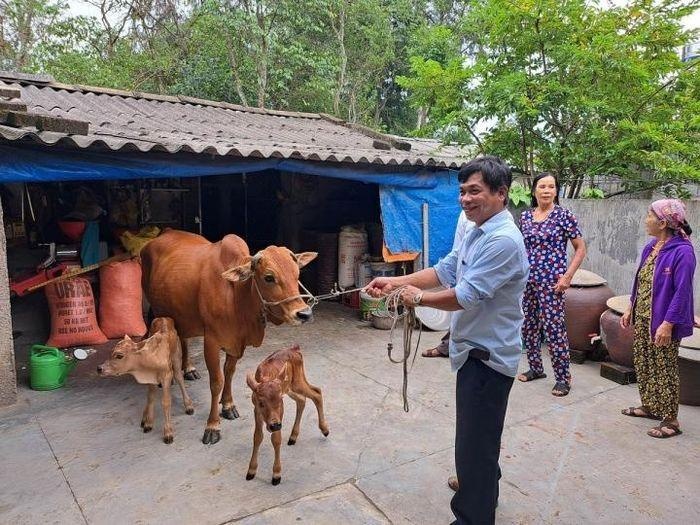 Nguoi dan do xo di xem cap be sinh doi hiem thay o Ha Tinh hinh anh