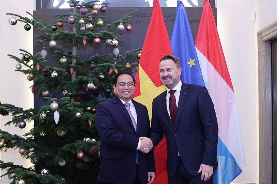 De nghi Luxembourg giup xay dung trung tam tai chinh quoc te o TP.HCM hinh anh