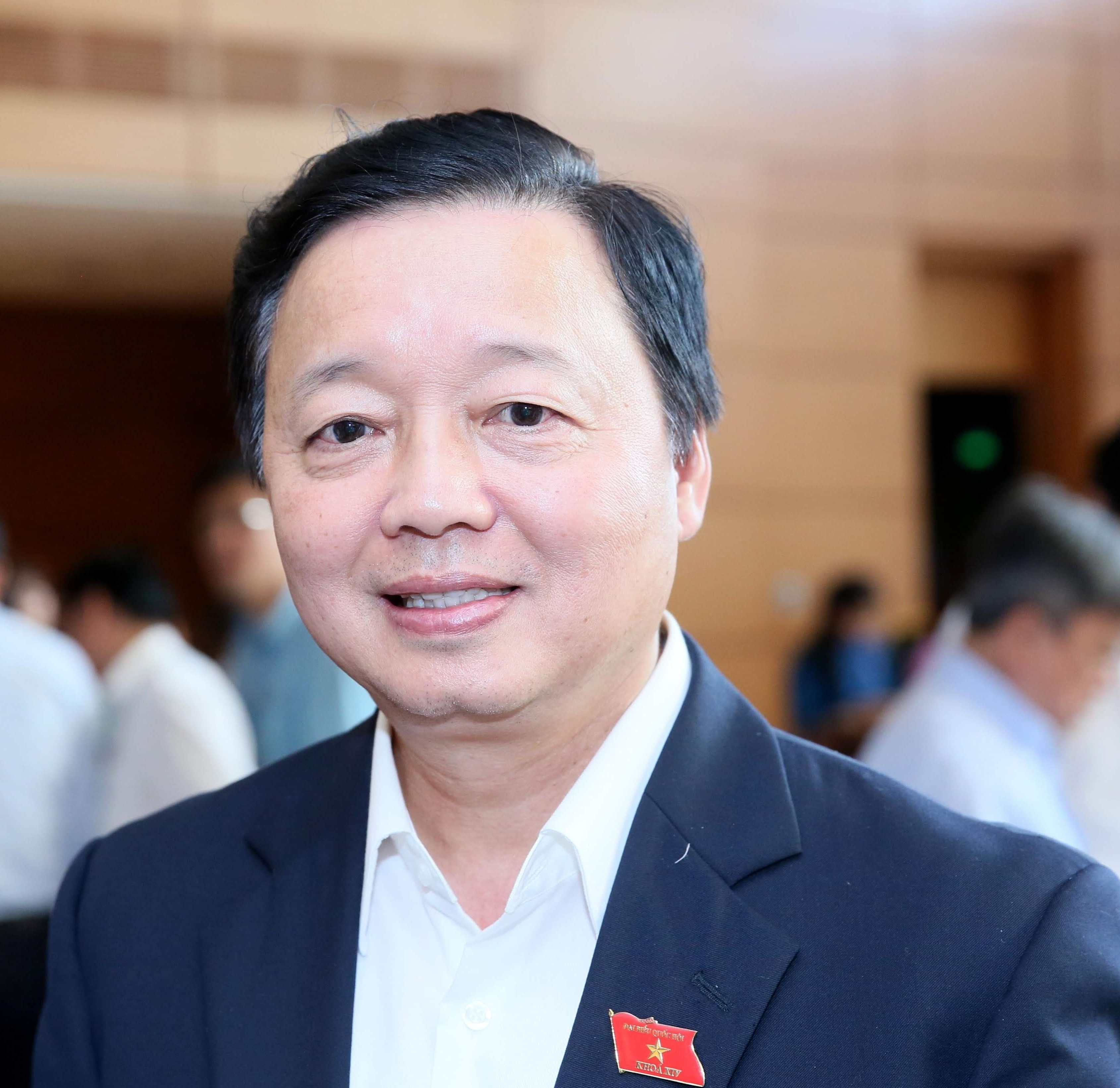 tieu su Tran Hong Ha anh 1