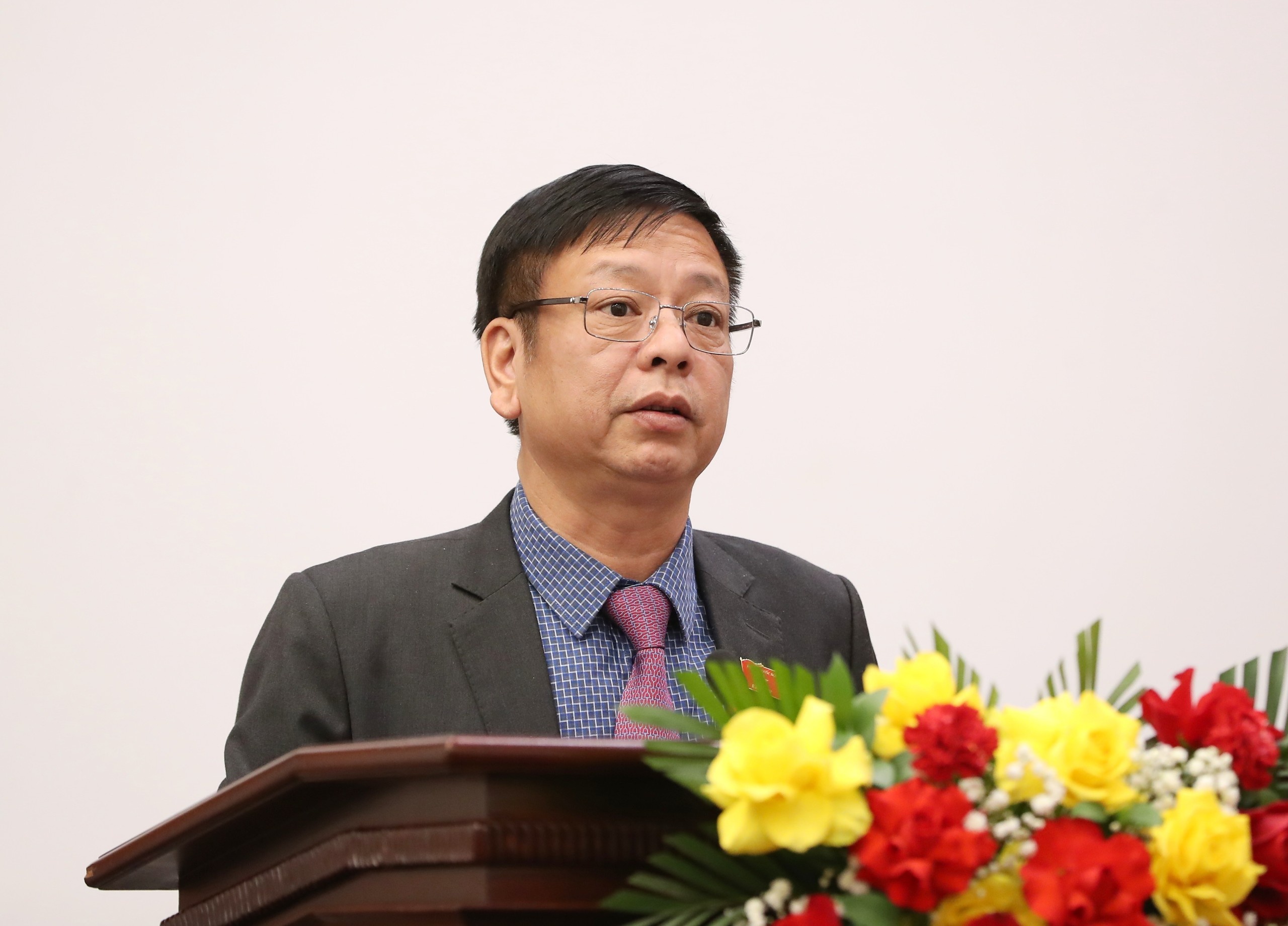 mien nhiem pho thu tuong anh 2